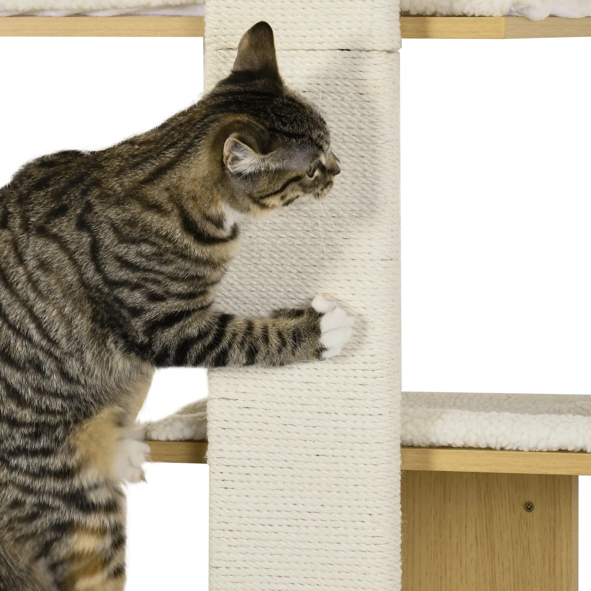 4-Tier Space-Saving Oak Cat Wall Shelf