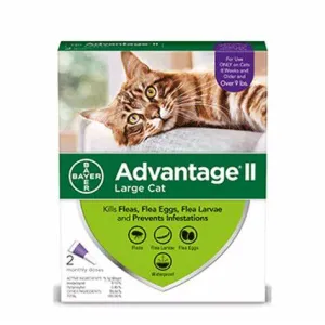 Advantage II Vet-Recommended Flea Prevention