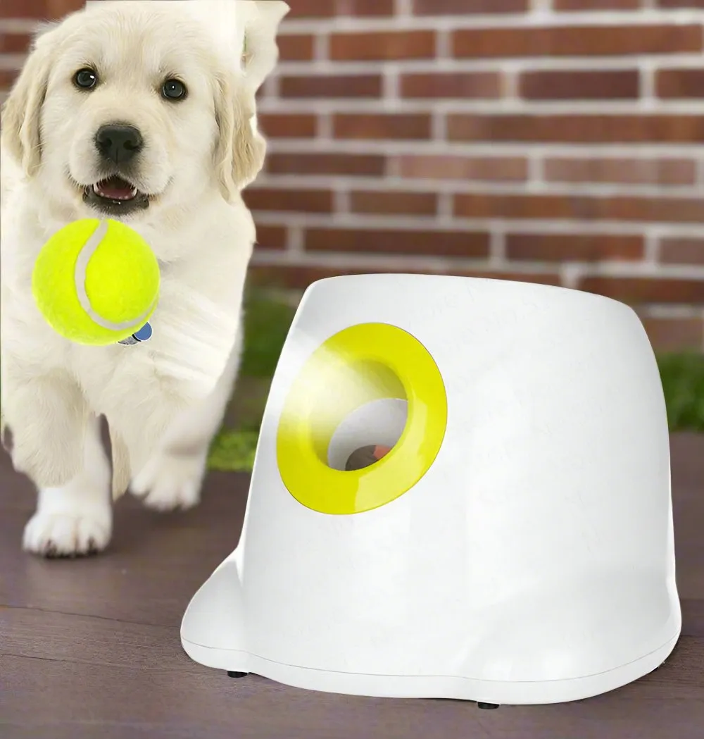Automatic Ball Launcher: Keep Your Dog Active and Entertained for Hours