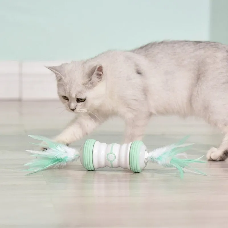 Automatic Feather Cat Toy