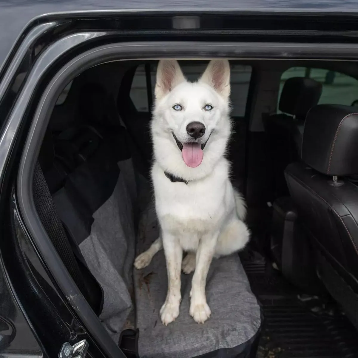 Bergan Auto Wide Bench Seat Protector