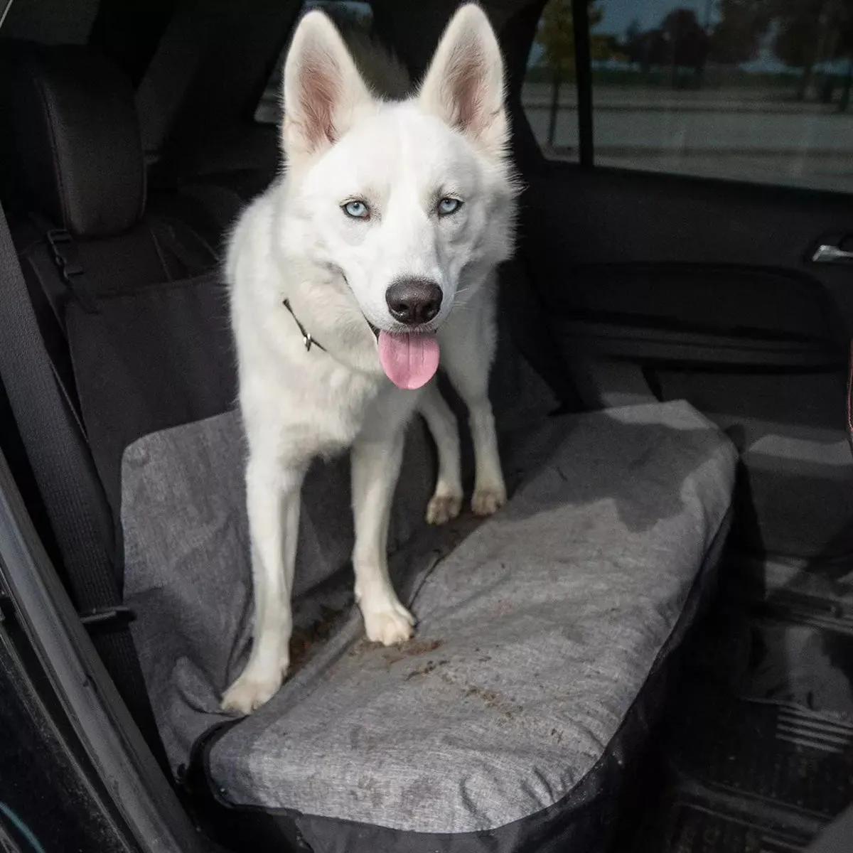 Bergan Auto Wide Bench Seat Protector