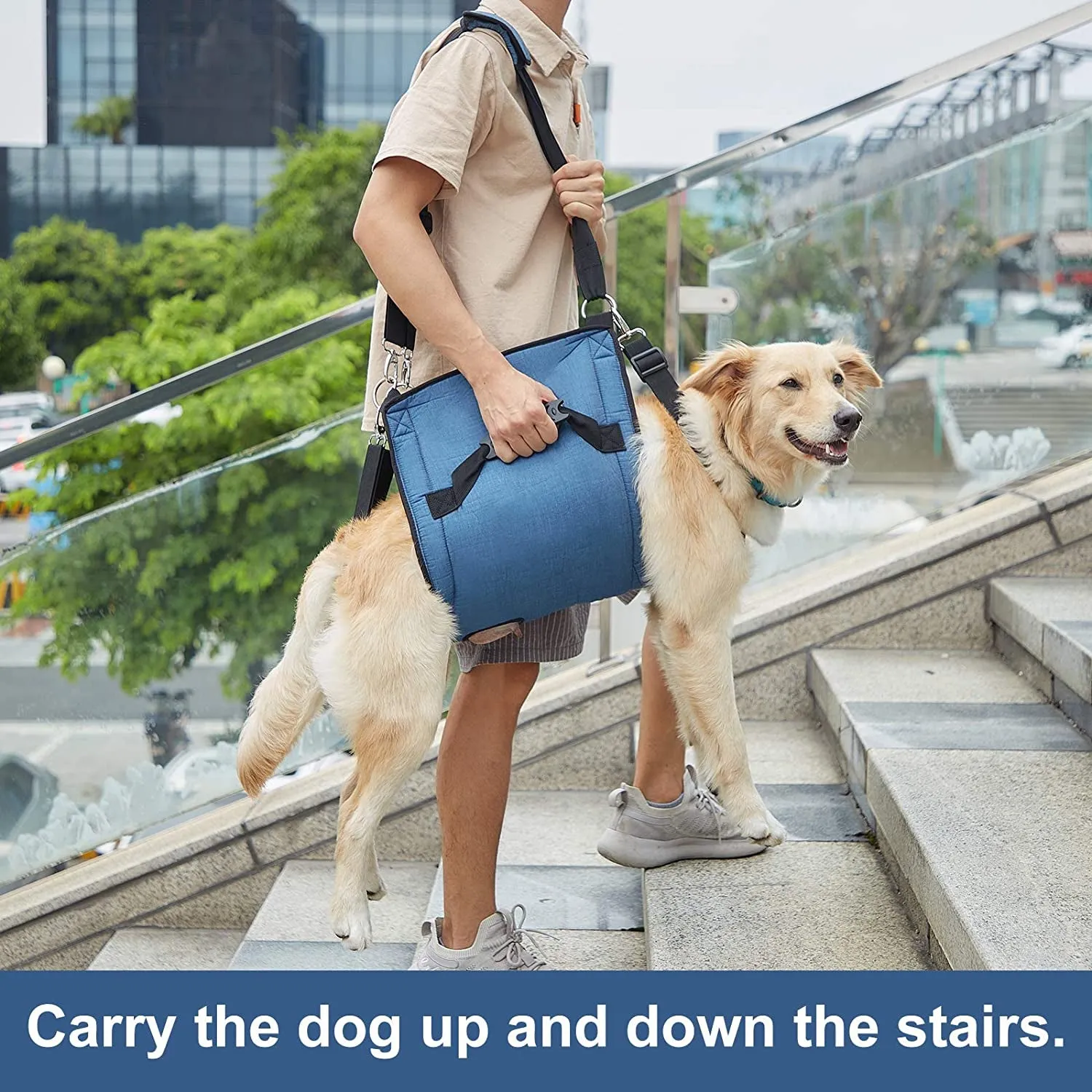 Dog Carry Sling, Emergency Backpack Pet Legs Support & Rehabilitation Dog Lift Harness for Nail Trimming, Dog Carrier for Senior Dogs Joint Injuries, Arthritis, up and down Stairs(2Xl, Blue)
