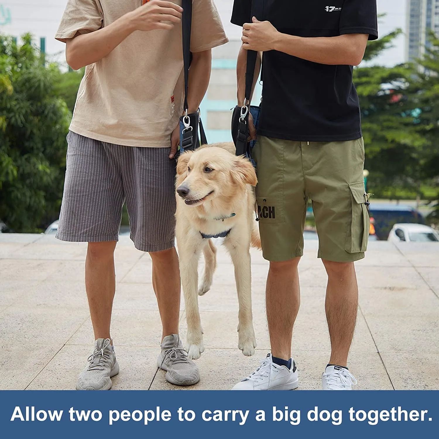 Dog Carry Sling, Emergency Backpack Pet Legs Support & Rehabilitation Dog Lift Harness for Nail Trimming, Dog Carrier for Senior Dogs Joint Injuries, Arthritis, up and down Stairs(2Xl, Blue)