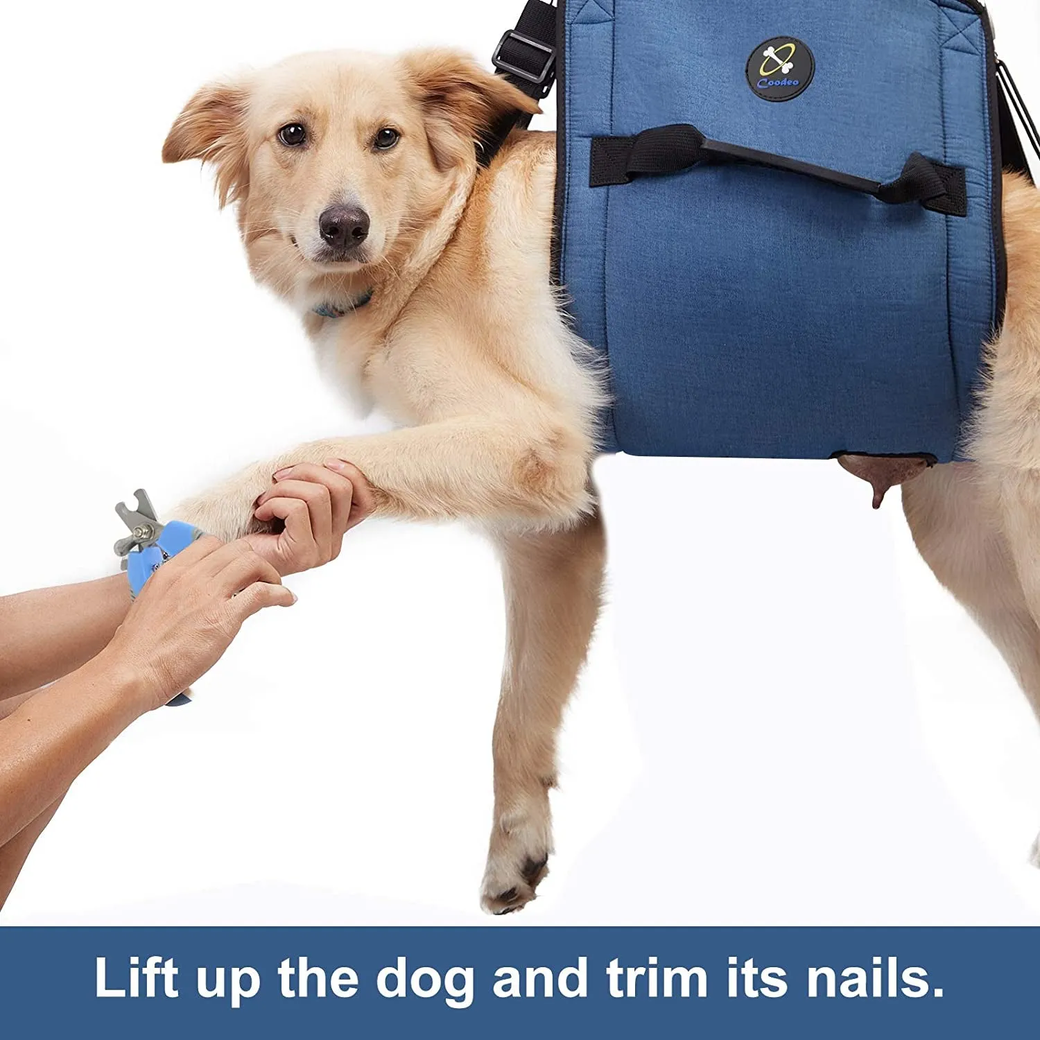 Dog Carry Sling, Emergency Backpack Pet Legs Support & Rehabilitation Dog Lift Harness for Nail Trimming, Dog Carrier for Senior Dogs Joint Injuries, Arthritis, up and down Stairs(2Xl, Blue)