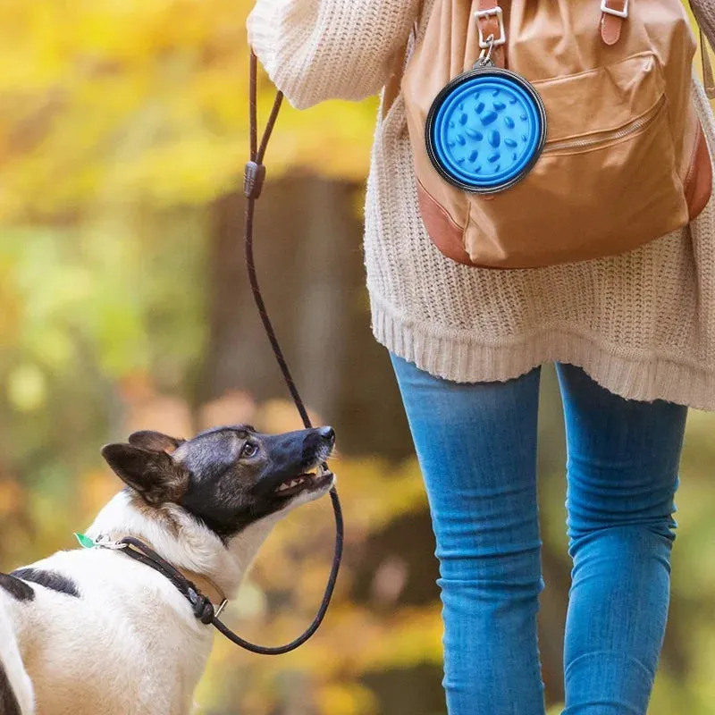 Eco-Friendly FOLDING Travel Bowl
