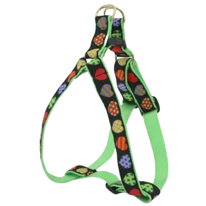 Harness | Colorful Hearts