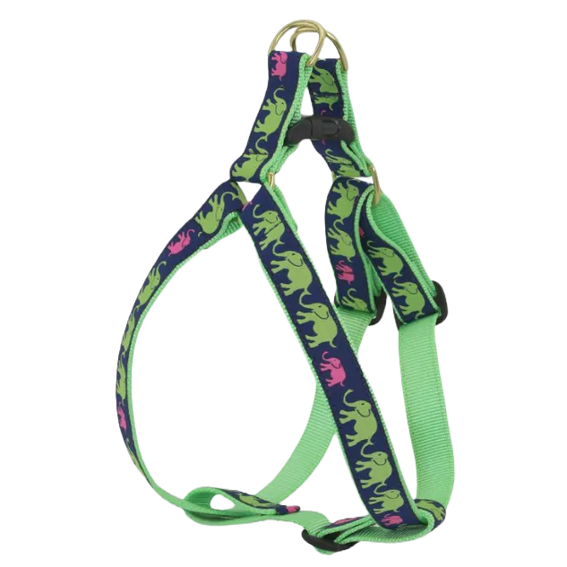 Harness | Leader Of The Pach