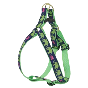 Harness | Leader Of The Pach