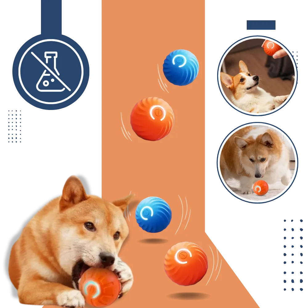Obstacle Avoidance Dog Ball
