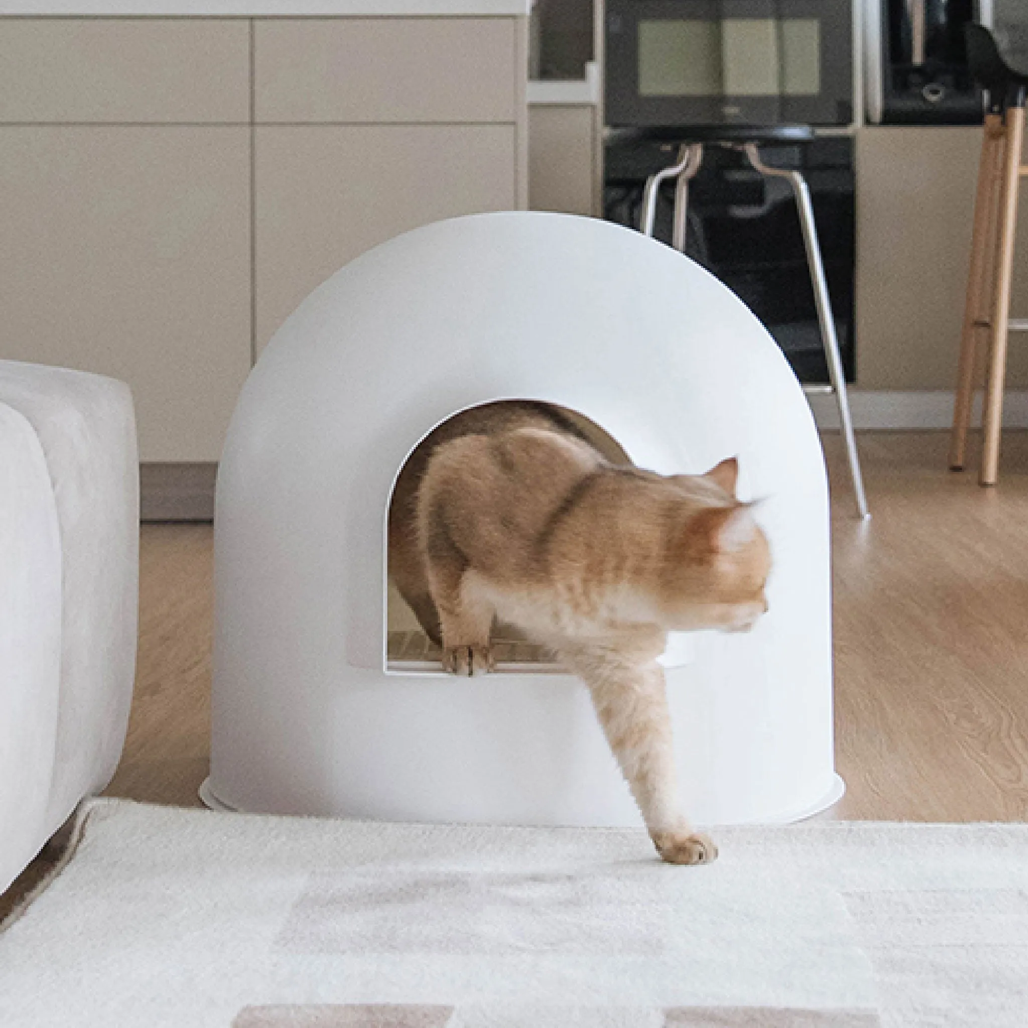 Pidan Igloo Litter Box - White