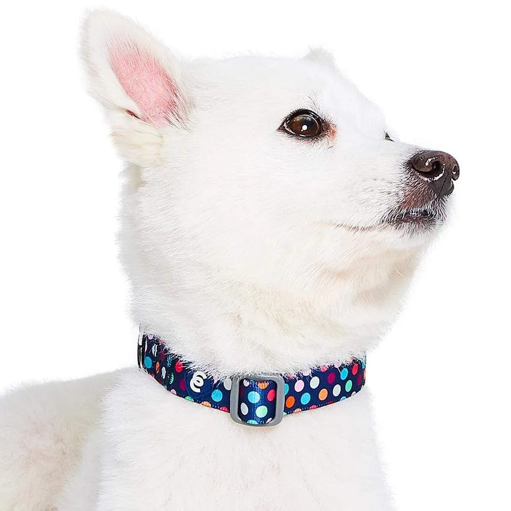 Rainbow Polka Dots Dog Collar