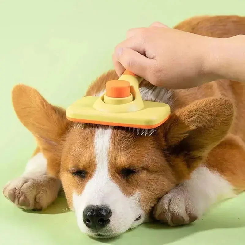 Self-Cleaning Dog Brush for Easy Grooming