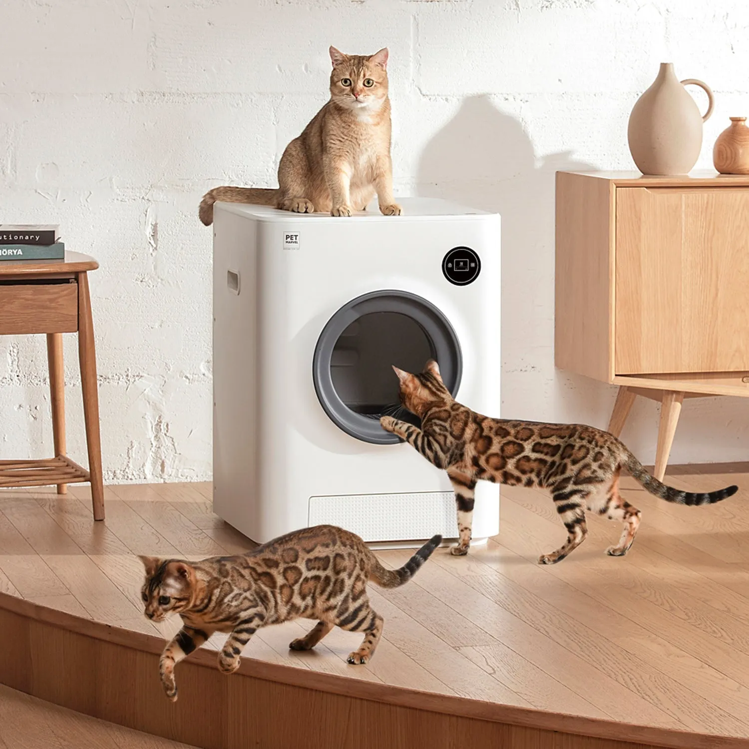 Smart Cat Toilet - Magic Cube