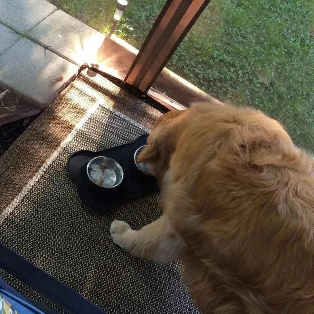 Stainless Steel Dog Bowl with No-Spill Silicone Mat – Non-Skid Pet Feeder for Dogs & Cats