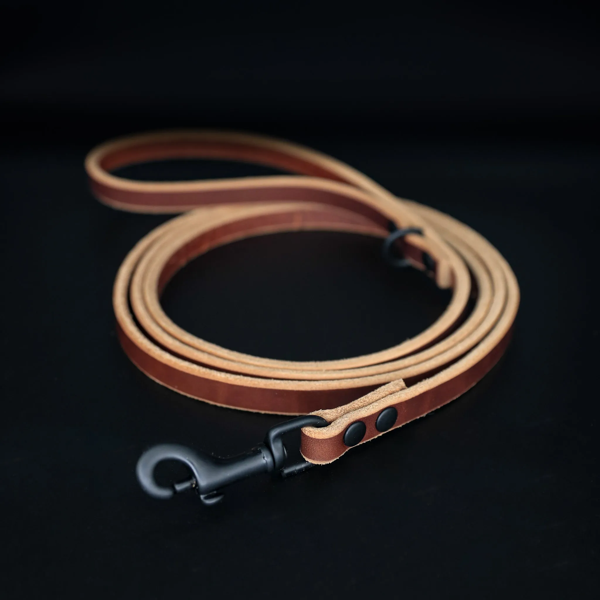 The Everyday Leash