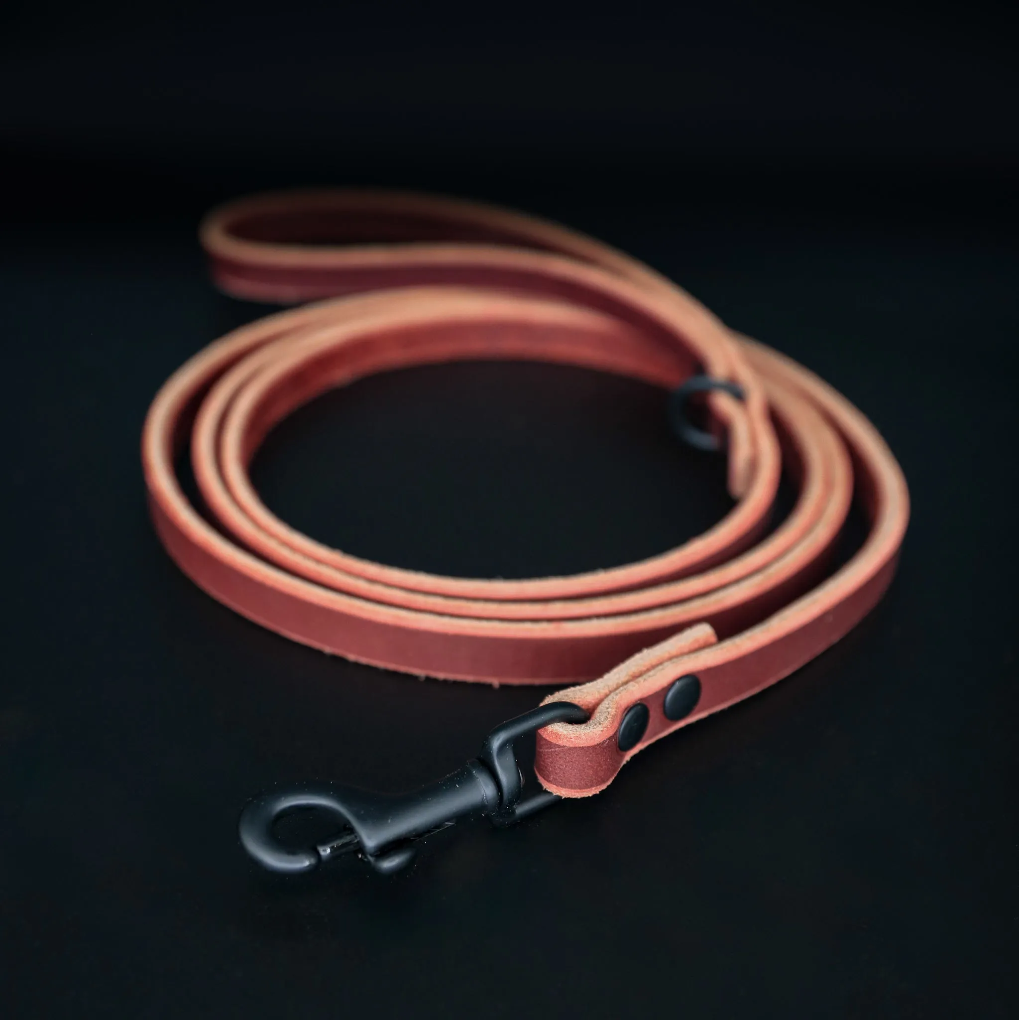 The Everyday Leash