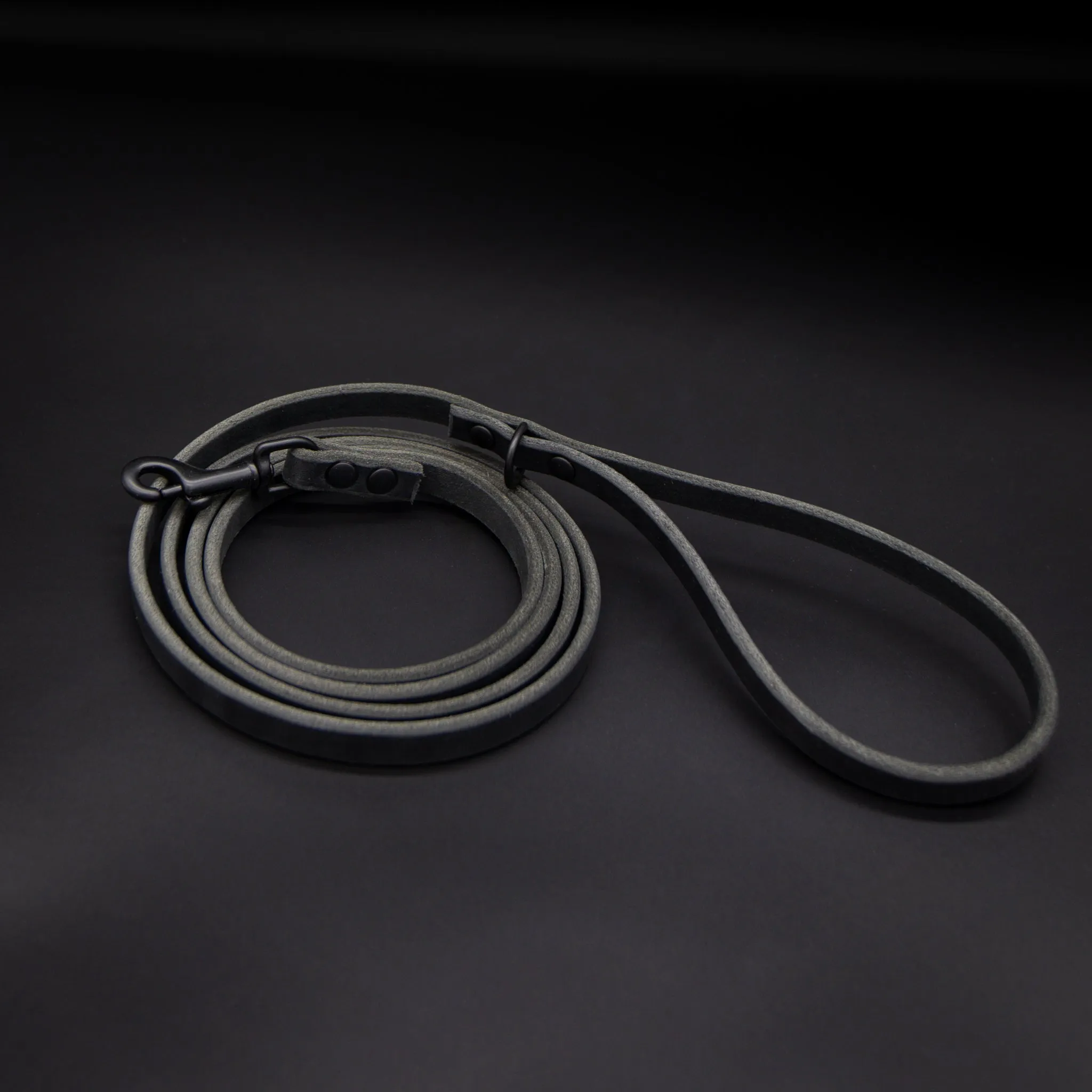 The Everyday Leash
