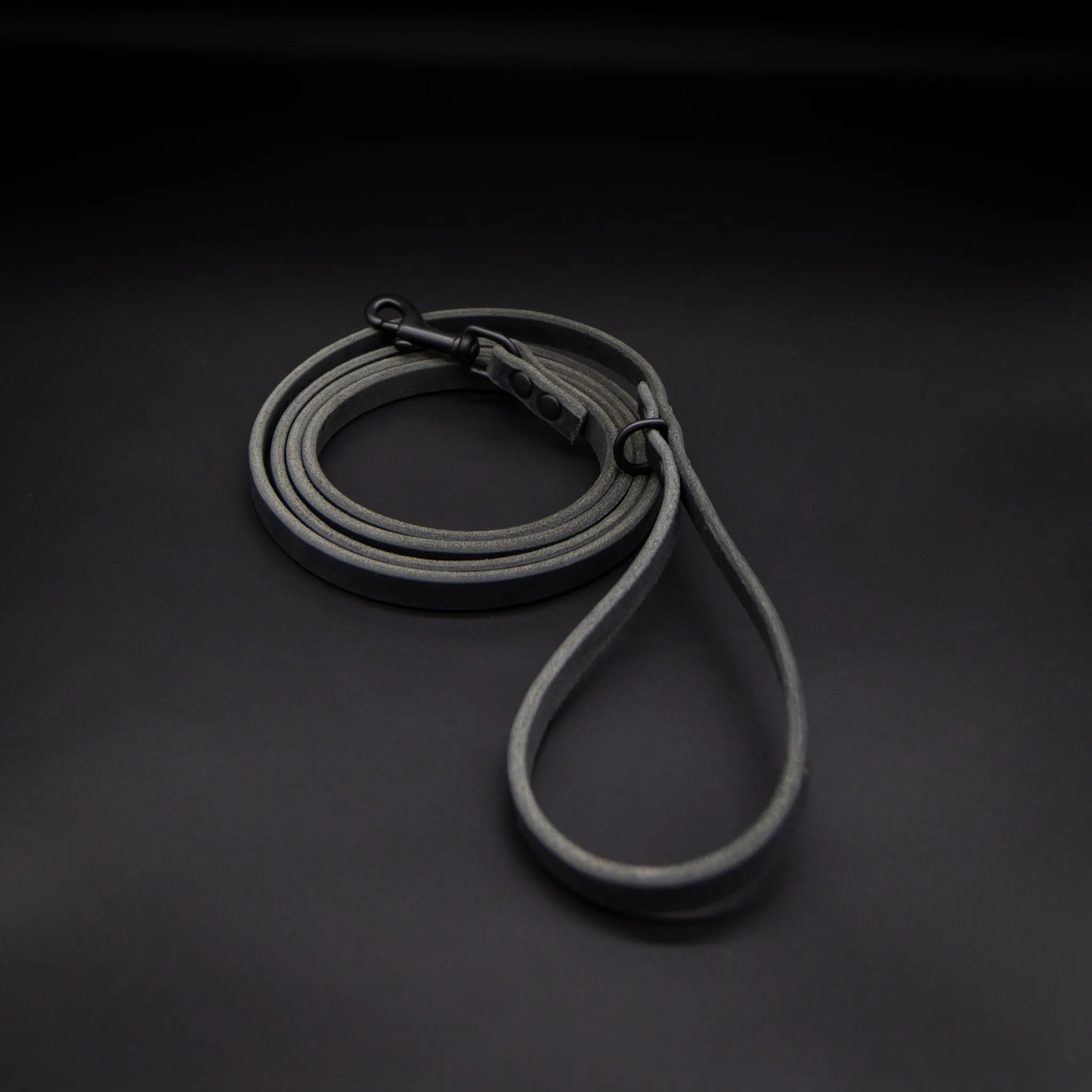 The Everyday Leash