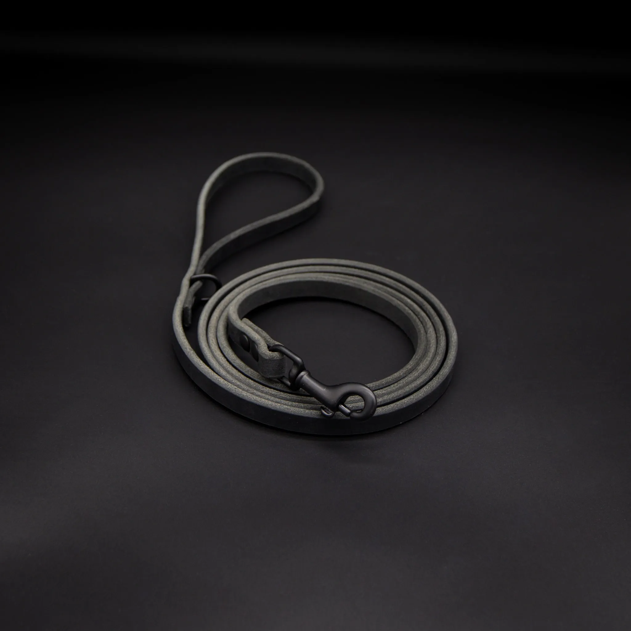 The Everyday Leash