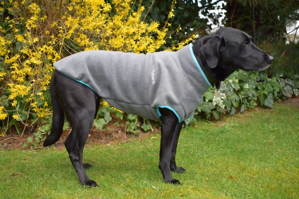 Walksters Dog Fleece Jumper in Grey
