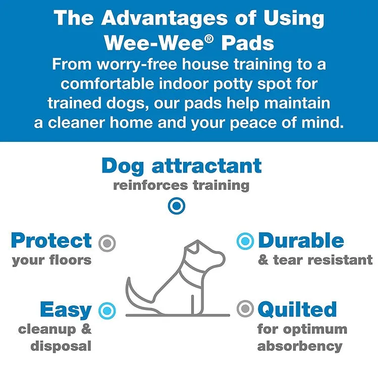 Wee-Wee® Superior Performance XL Dog Pee Pads - 28" x 34"