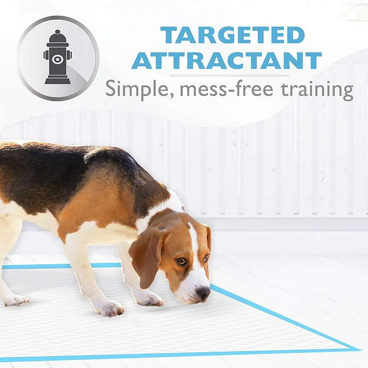 Wee-Wee® Superior Performance XL Dog Pee Pads - 28" x 34"